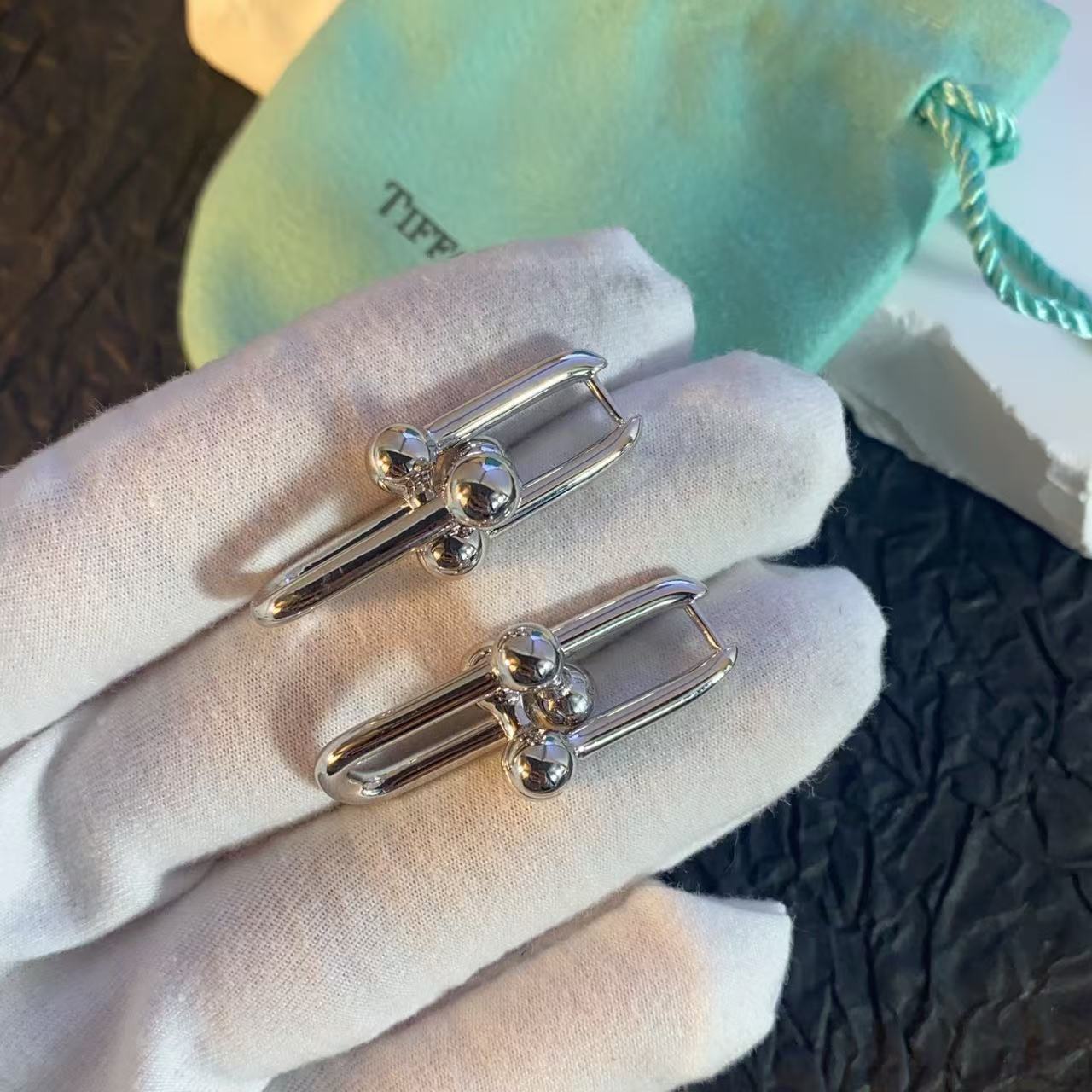 [Luxery]HW SERIES EARRINGS